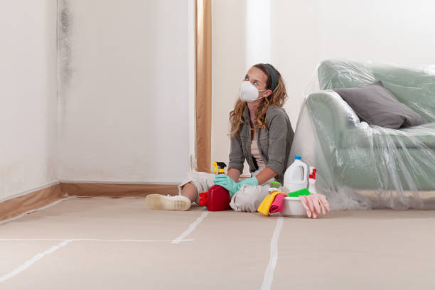 Reliable Black Mold Removal contractor in Mead, WA by WQB Mold Removal